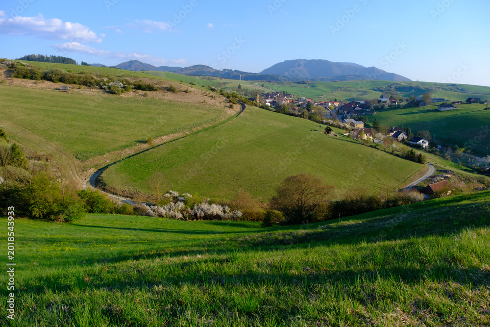 Naklejka premium View of a green valley in Slovakia, with a road and isolated houses