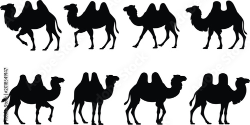 Canvas-taulu Collection of eight black camel silhouettes in various walking poses on a white