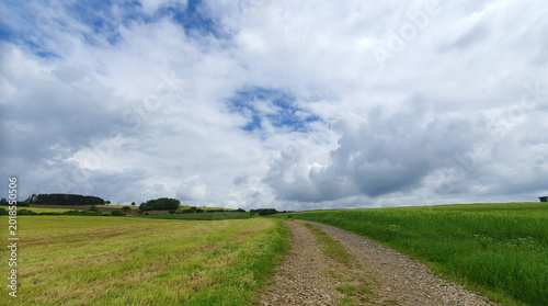 A path winds through a vast green meadow beneath a clouds sky.