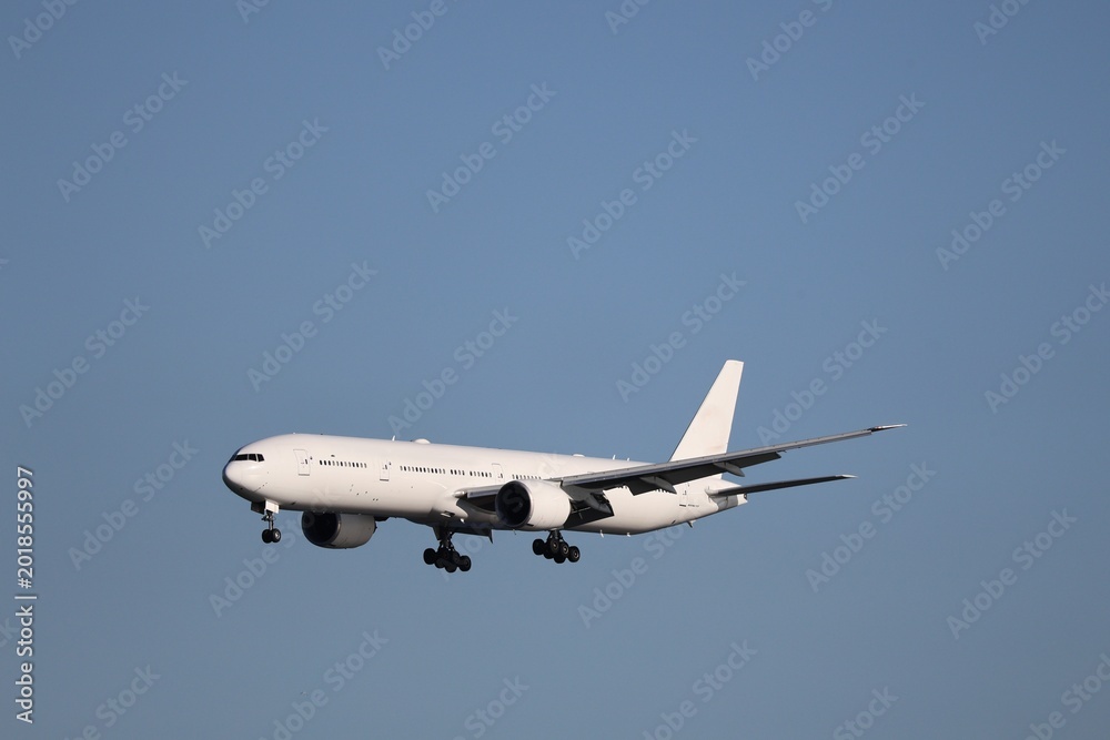 Fototapeta premium 羽田空港に着陸する旅客機