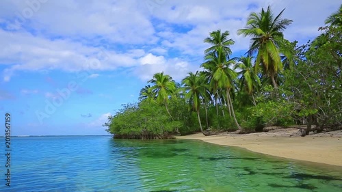 Palm trees on tropical beach with blue sky and turquoise sea.