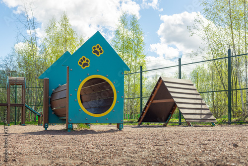 Animal training park  area for Walking, play, exercise and command, Special equipped zone, Dog playground in the city. Active agility pet lifestyle concept