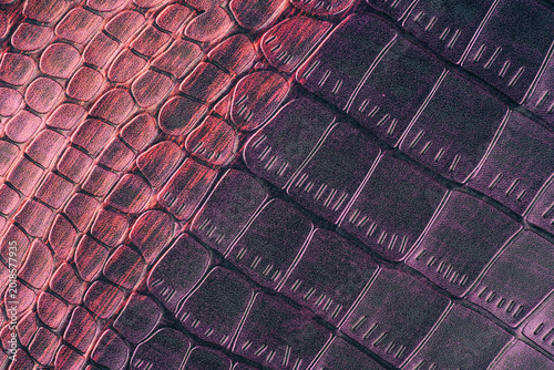 Purple crocodile leather texture close up with glossy reptile scales and luxury exotic surface