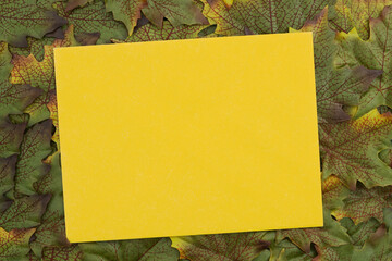 Yellow card mockup with early fall leaves