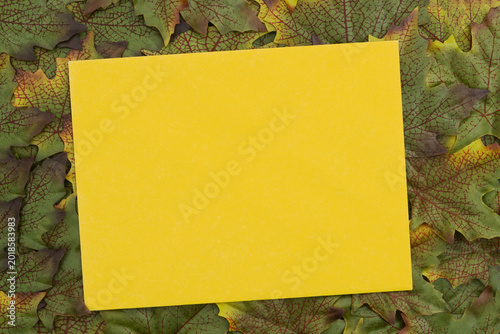 Fotografia Yellow card mockup with early fall leaves