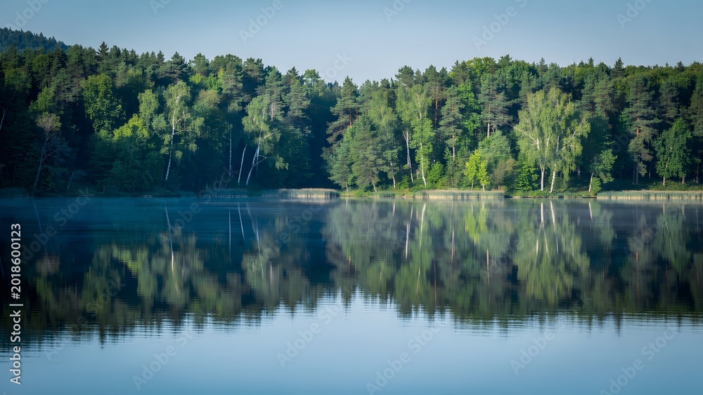 Fototapeta premium Serene Forest Lake Reflection