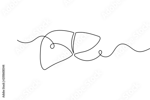Human liver anatomy one line drawing isolated minimalist outline vector on white background