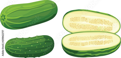 Schilderij op canvas Fresh Green Gourd Vegetable Illustration Set with Whole and Cut Organic Cucurbit
