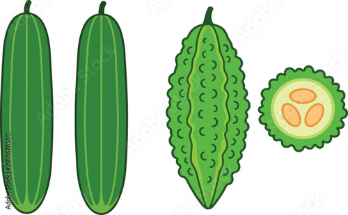 Obraz na płótnie Green Gourd and Bitter Melon Vegetable Illustration Set with Fresh Organic Cucur