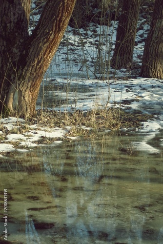 Tableau sur toile The forest holds its breath above a still and glassy flood