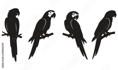 Four Parrot Silhouettes Collection Vector Illustration