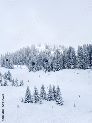 Canvas Print Beautiful winter landscape on Jahorina Mountain with gondola lift, snow-covered pine trees, skiers, and foggy alpine atmosphere