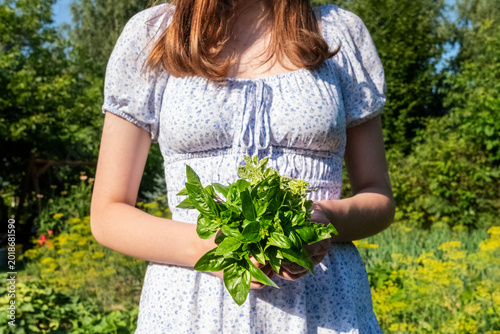 Woman holds a bunch of fresh herbs in herb garden