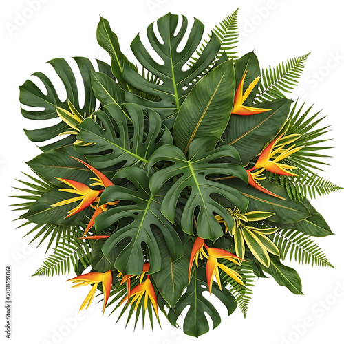 Tropical green leaves with orange heliconia flowers isolated on transparent background