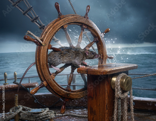 A rat scurrying across a ship’s wheel, dramatic nautical setting