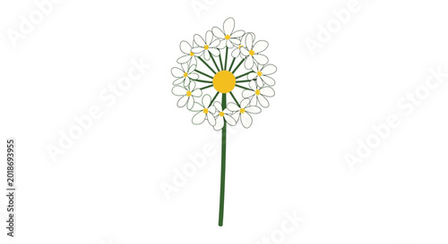 Foto Dandelion Flower Closeup Yellow Center.