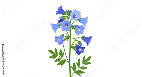 Tableau sur toile Blue flower with green leaves stem.