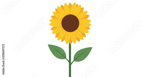 Photos Bright Yellow Sunflower with Green Leaves.
