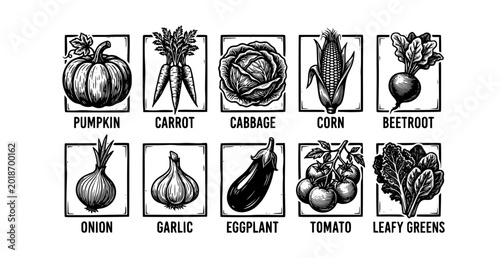 Vegetables linocut woodcut set monochrome harvest engraving vector illustration