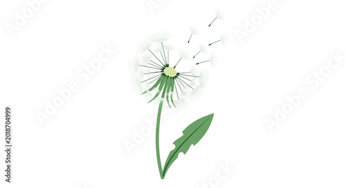 Dandelion Flower Plant Green Stem.