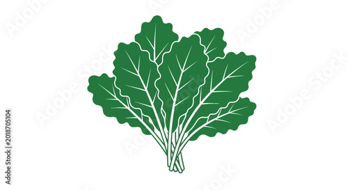 Foto Green leafy vegetable plant closeup.