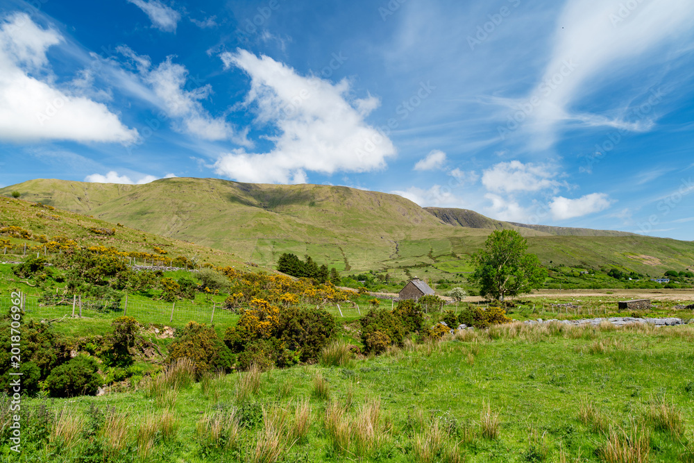 Naklejka premium Green mountain valley near Lough Nafooey in Joyce Country, County Galway, Ireland. Rural Irish landscape with stone cottage, fields and hills near the Mayo border.