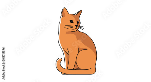 Orange Cat Sitting Looking Back.