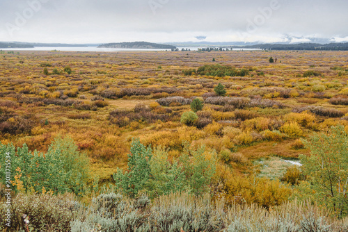 View towards Jackson Lake in the autumn, Grand Teton National Park, Wyoming, USA