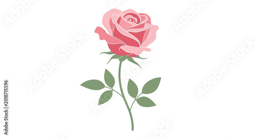 Tableau sur toile Pink Rose Flower with Green Leaves.