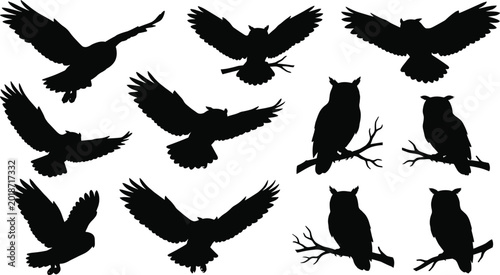 Fotografie Owl silhouette collection with flying and perched owls isolated on gray backgrou