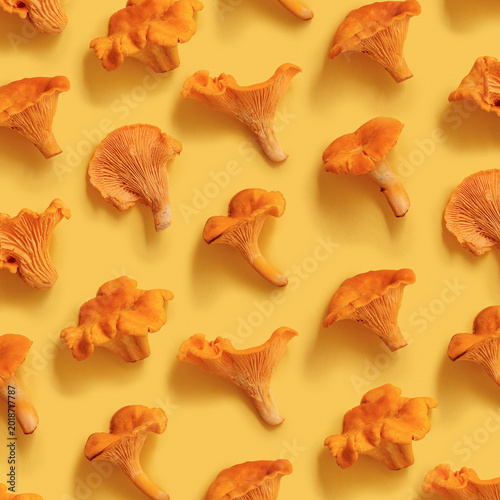 Close up forest mushroom Chanterelle still life, orange color edible healthy fungus on yellow background, minimal top view autumn seasonal eco product. Natural organic vegetable food trendy pattern.