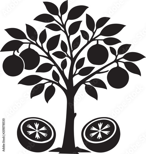 Black silhouette of orange tree with fruit Vector