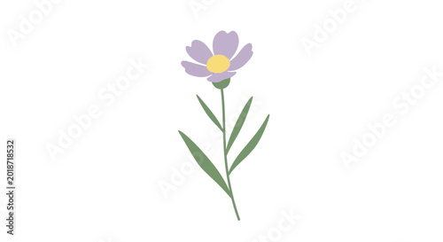 Bilde på lerret Purple flower with green leaves growing.