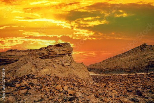 Canvas Print Makhtesh Ramon Crater in National park in Negev desert, Israel