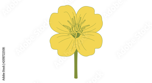Tableau sur toile Yellow Flower with Green Stem.