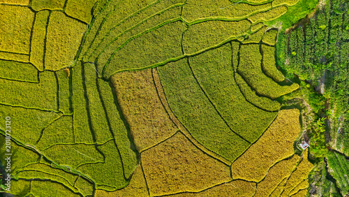 Tableau sur toile Aerial view of terraced rice fields on the slopes of Lake Toba, North Sumatra