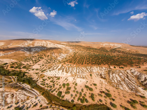 Fotografi Pistachio orchards on heavily eroded semi-arid terrain with calcareous badlands formations