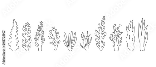 Fényképezés Seaweed and coral line art doodle collection featuring ten black outline aquatic plants for marine coloring books, minimalist branding and underwater landscape patterns