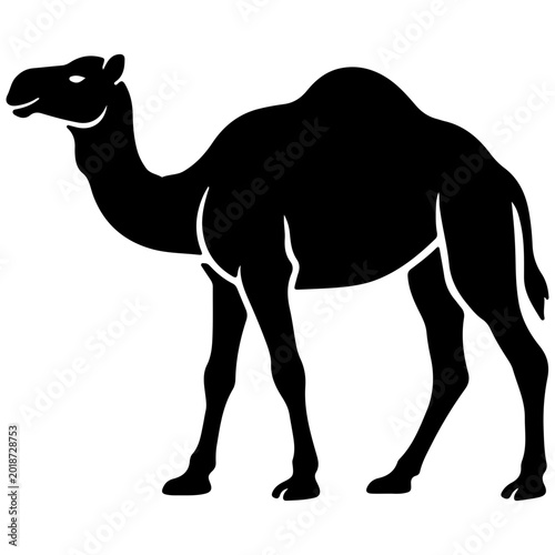 Schilderij op canvas Silhouette of a camel