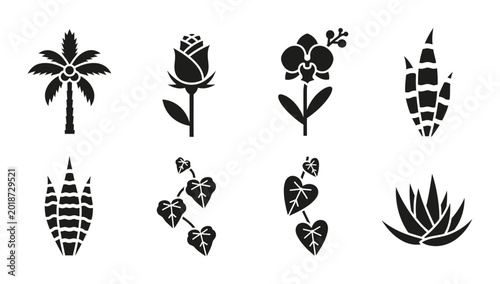 Bild auf Leinwand Botanical Icons Set: Palm Tree, Rose, Orchid, Succulent, Corn Stalk, Vine Elemen