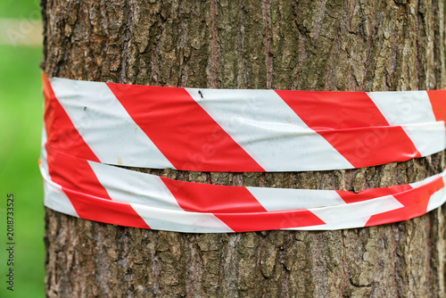 Fotografie Absperrung mit Flatterband in einem Wald.