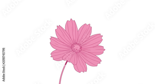Fotografie Pink Flower with Petals and Stem.
