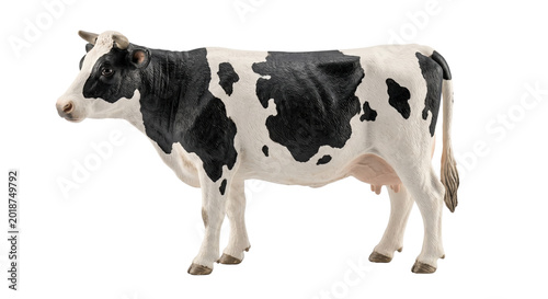 Fotografie Holstein friesian cow standing side view