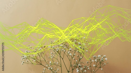 Neon mesh starting above gypsophila, undulating, rising, overlapping blooms, highlighting contrast