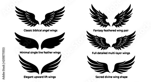 Fotografie Diverse Wing Vector Icons Set: Classic Angelic, Fantasy Feathered, Minimalist, a