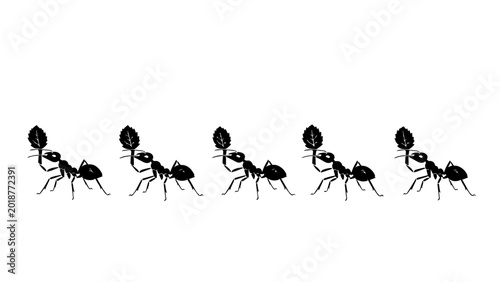 Bild auf Leinwand Ant March Line Row Colony Worker Insect Silhouette Vector Illustration Bundle