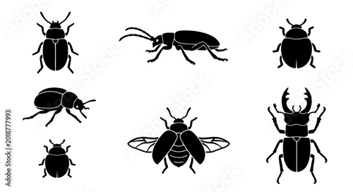 Foto Set of 7 Black Insect Silhouettes, Vector Icons: Beetles, Bugs, and Arthropods f