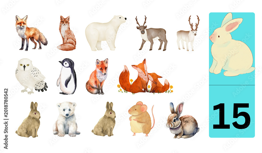 Fototapeta premium This painting depicts a gentle, peaceful, and imaginative natural world. Here, various forest and temperate animals are depicted in watercolor style. The use of a white, clean background allows each a