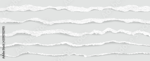 Cuadro en lienzo Torn paper realistic vector set