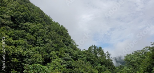 Quadro em tela a Korean mountain after the rain